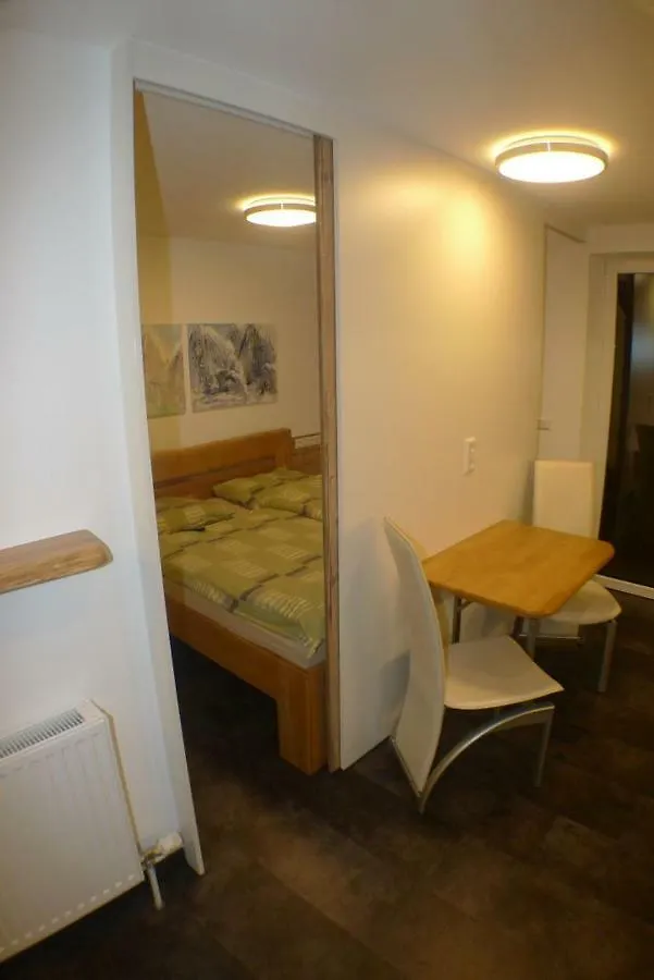 Apartment Domicil Top 45 Saalbach-Hinterglemm